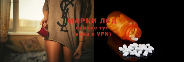 сатива Михайловск