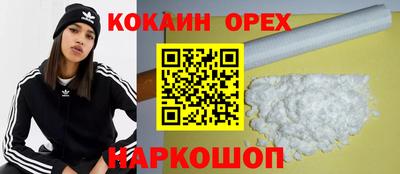 мдпв Гатчина