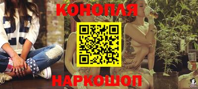 мдпв Гатчина
