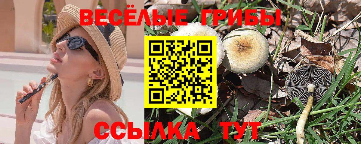 Псилоцибиновые грибы ЛСД Магнитогорск