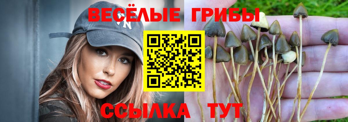Магнитогорск  Псилоцибиновые грибы ЛСД  Вход с VPN 